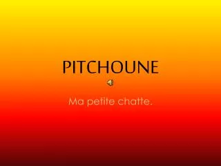 pitchoune