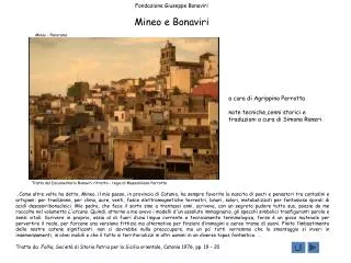 Fondazione Giuseppe Bonaviri Mineo e Bonaviri