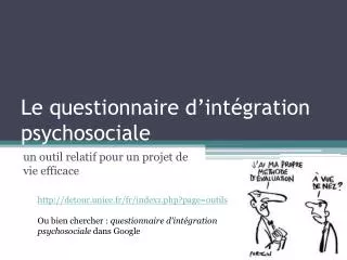 le questionnaire d int gration psychosociale