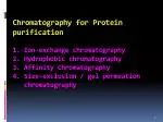 Ion exchange chromatography - slide 1