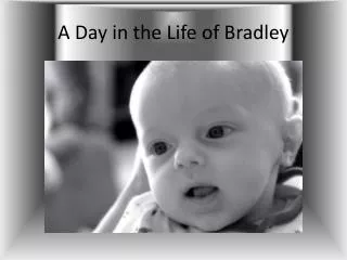 A Day in the Life of Bradley