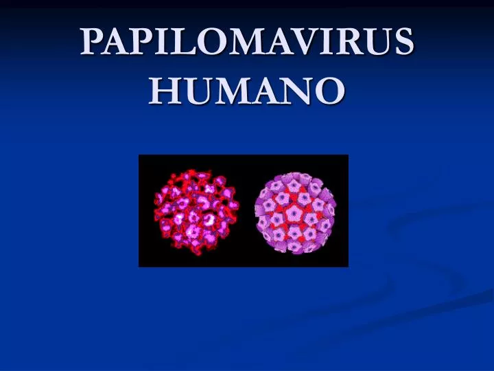 papilomavirus humano