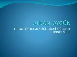 alkan ayg n