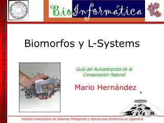 Biomorfos y L-Systems