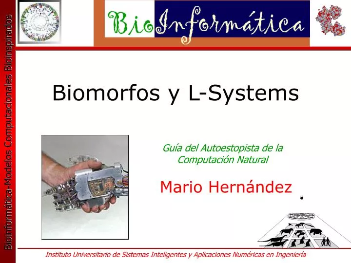 biomorfos y l systems