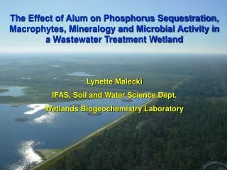 Lynette Malecki IFAS, Soil and Water Science Dept. Wetlands Biogeochemistry Laboratory