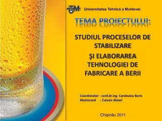 tema proiectului