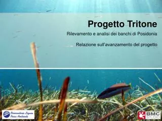 progetto tritone