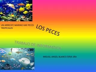 los peces
