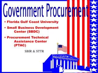 Government Procurement