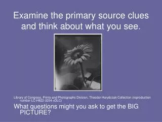 Examine the primary source clues and think about what you see.