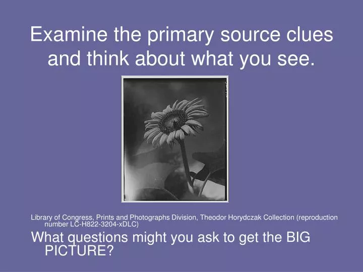 examine the primary source clues and think about what you see
