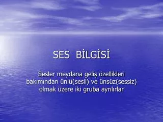 ses b lg s