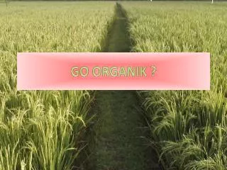 go organik