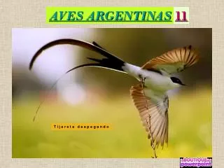 aves argentinas