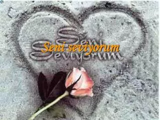 seni seviyorum