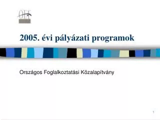 2005 vi p ly zati programok