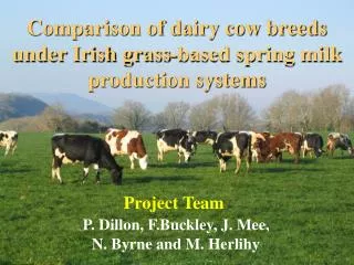 Comparison of dairy cow breeds under Irish grass-based spring milk production systems
