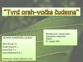 OŠ ANTE STARČEVIĆA VILJEVO Dina Kovač, 5.r Gracia Kopić 6. r. Ivana Šmit 7. r.