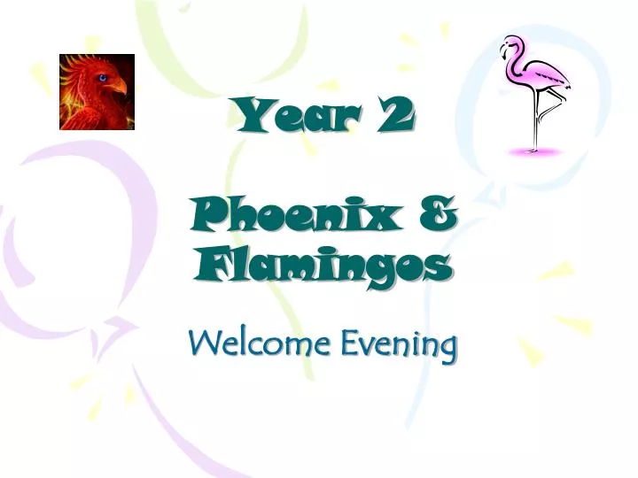year 2 phoenix flamingos