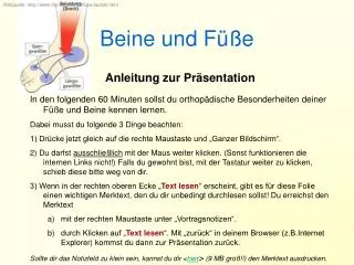 beine und f e