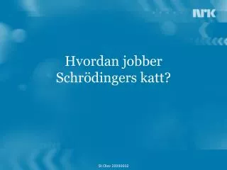 hvordan jobber schr dingers katt