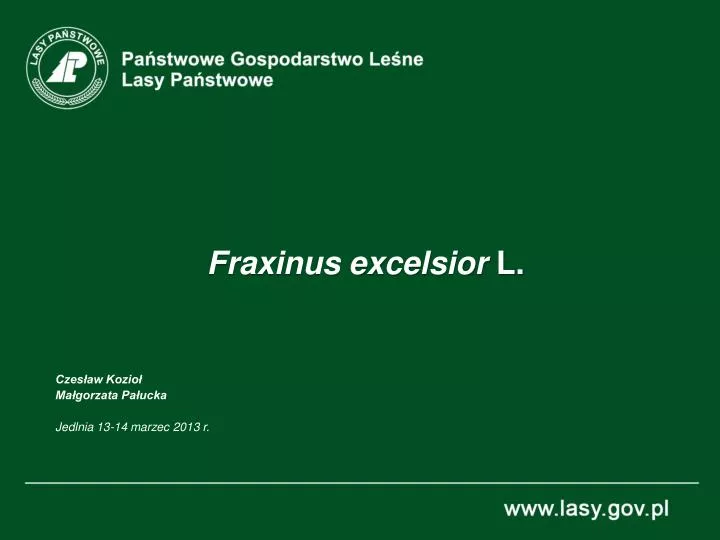 fraxinus excelsior l