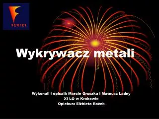 wykrywacz metali