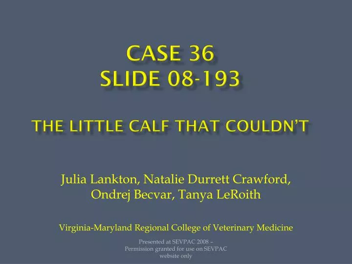 case 36 slide 08 193 the little calf that couldn t