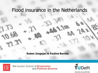 Flood insurance in the Netherlands