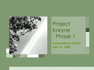 Project Karyne - Phase 1