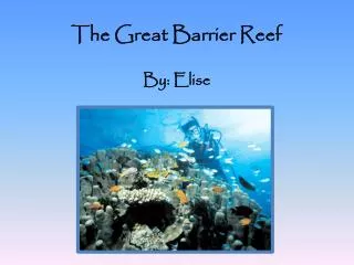 The Great Barrier Reef By: Elise
