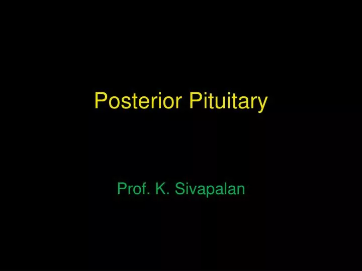 posterior pituitary