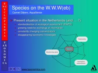 Species on the W.W.W(eb)