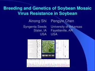 Breeding and Genetics of Soybean Mosaic Virus Resistance in Soybean