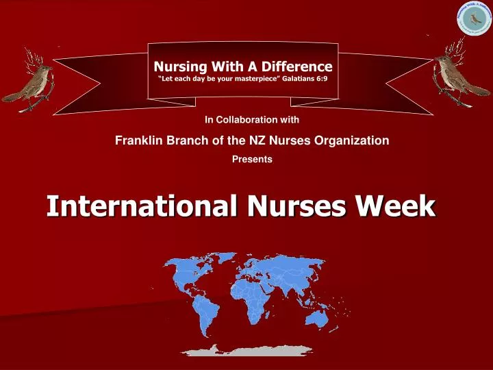 international nurses week