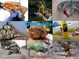 cool pictures
