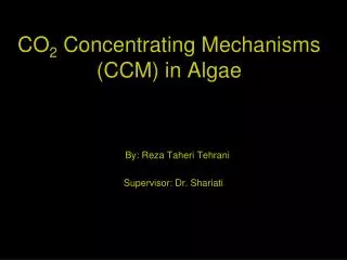 CO 2 Concentrating Mechanisms (CCM) in Algae