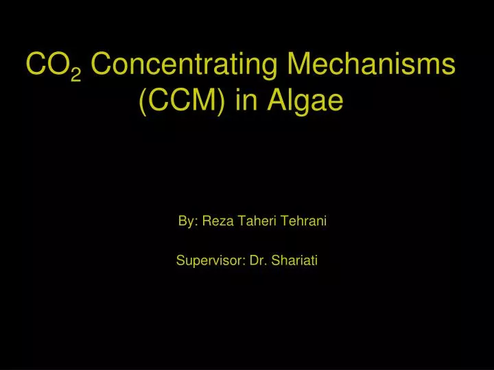 co 2 concentrating mechanisms ccm in algae