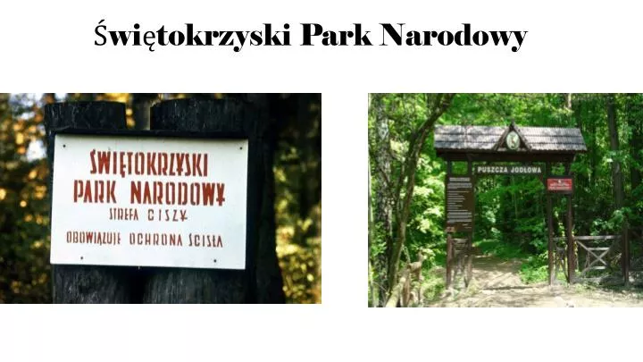 wi tokrzyski park narodowy