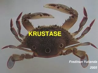 krustase