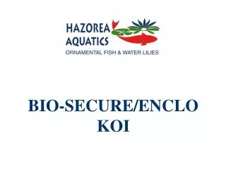 BIO-SECURE/ENCLO KOI