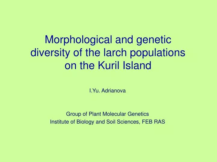 morphological and genetic diversity of the larch populations on the kuril island
