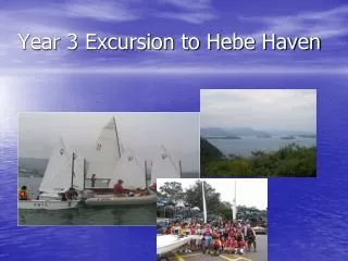 Year 3 Excursion to Hebe Haven