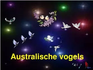 Australische vogels