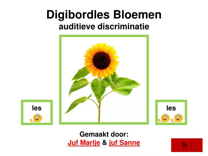 digibordles bloemen auditieve discriminatie