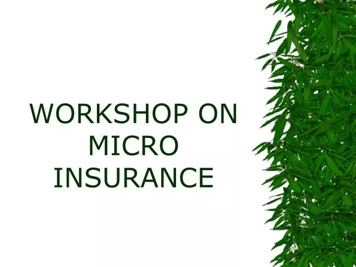 workshop on micro insurance