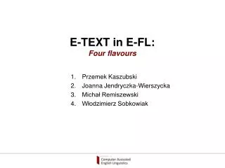 E-TEXT in E-FL: Four flavours