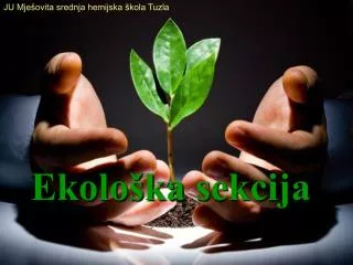 ekolo ka sekcija