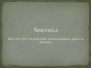 nie nica